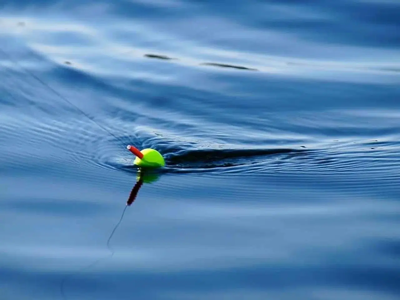 Billede 6 - 510 Cruiser med F60 Mercury-EFI - Anvisningssalg