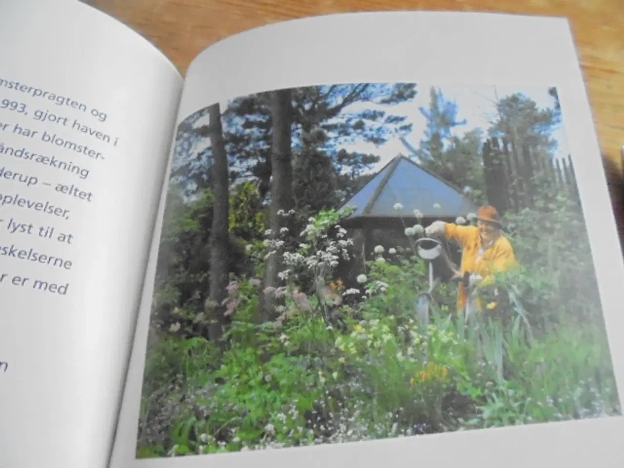 Billede 6 - Den lille bog om Jammerbugten – meget fin stand  