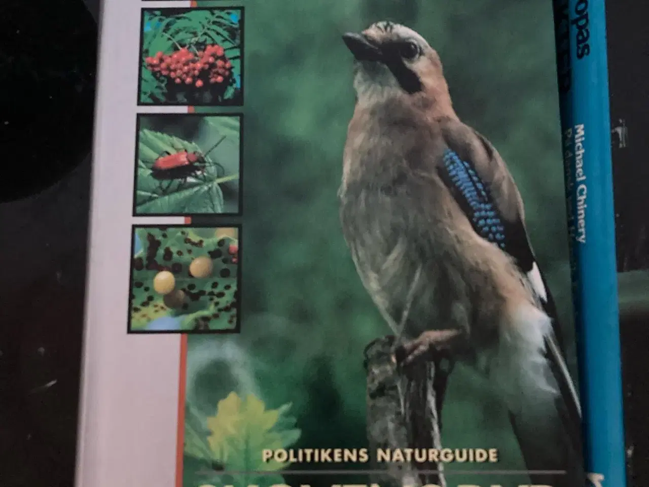 Billede 2 - Fuglebøger