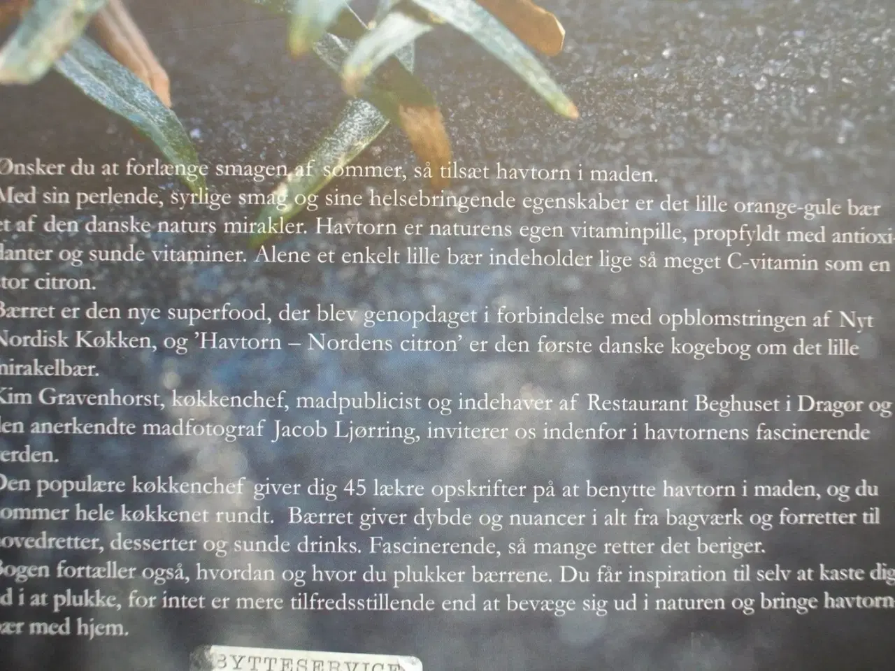 Billede 4 - havtorn - nordens citron til forretter, hovedrette