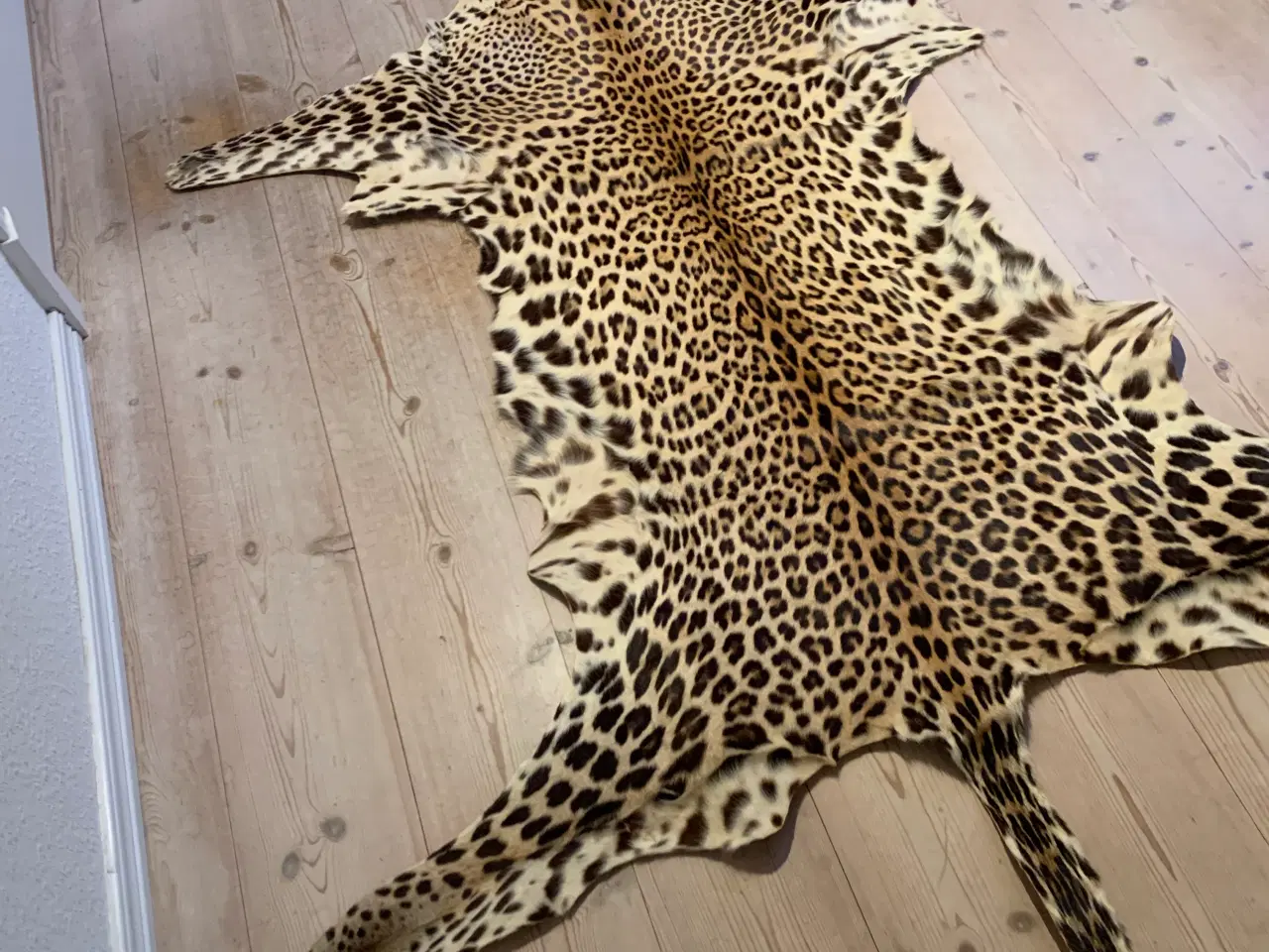 Billede 4 - Leopard Skind