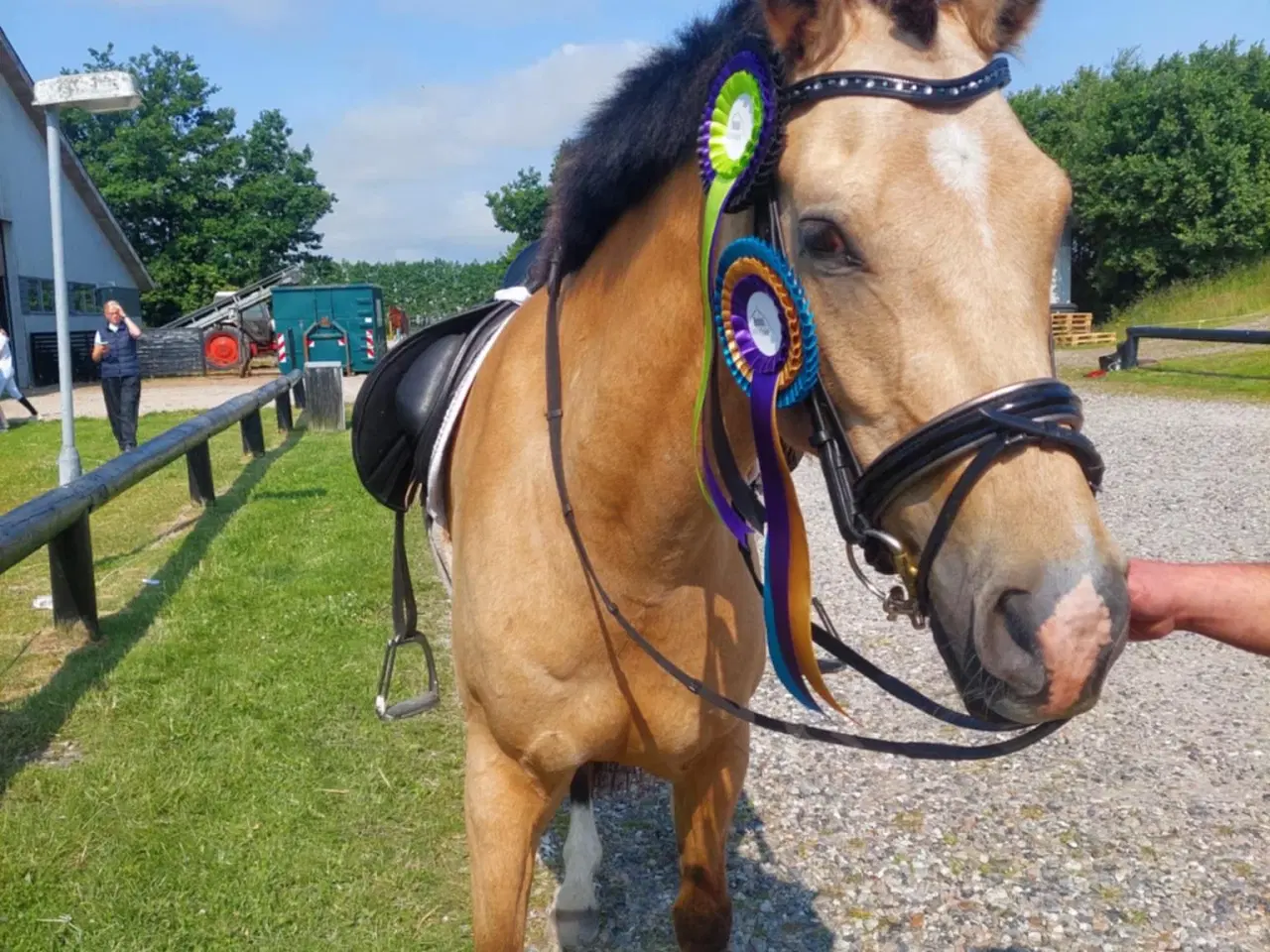 Billede 8 - Dine nye bedste ven