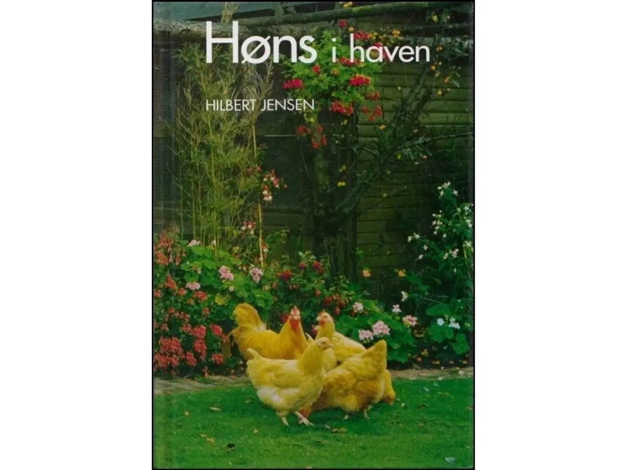 Billede 2 - Havehøns - ny udgave 🐔