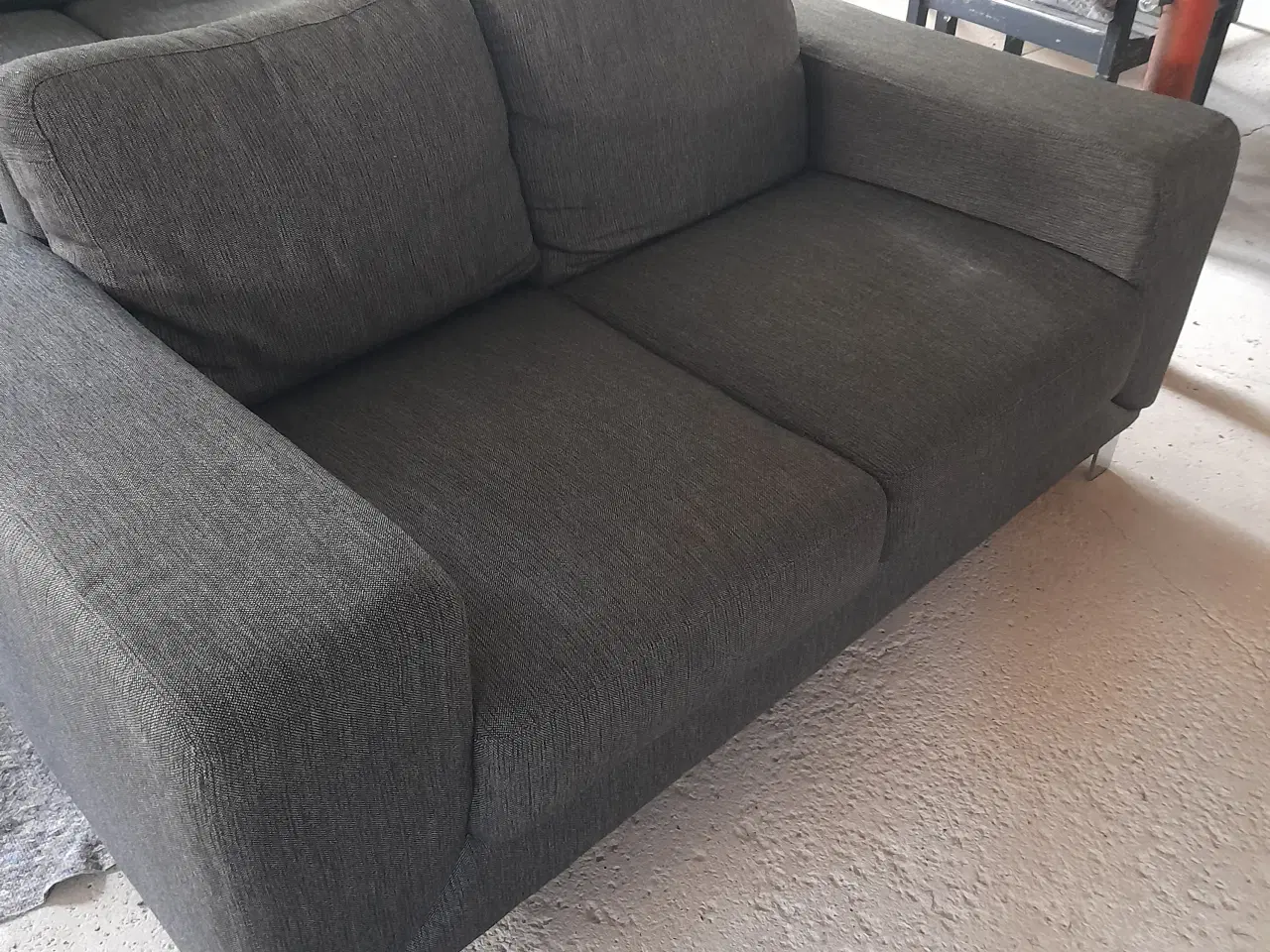 Billede 5 - Hjort knudsen