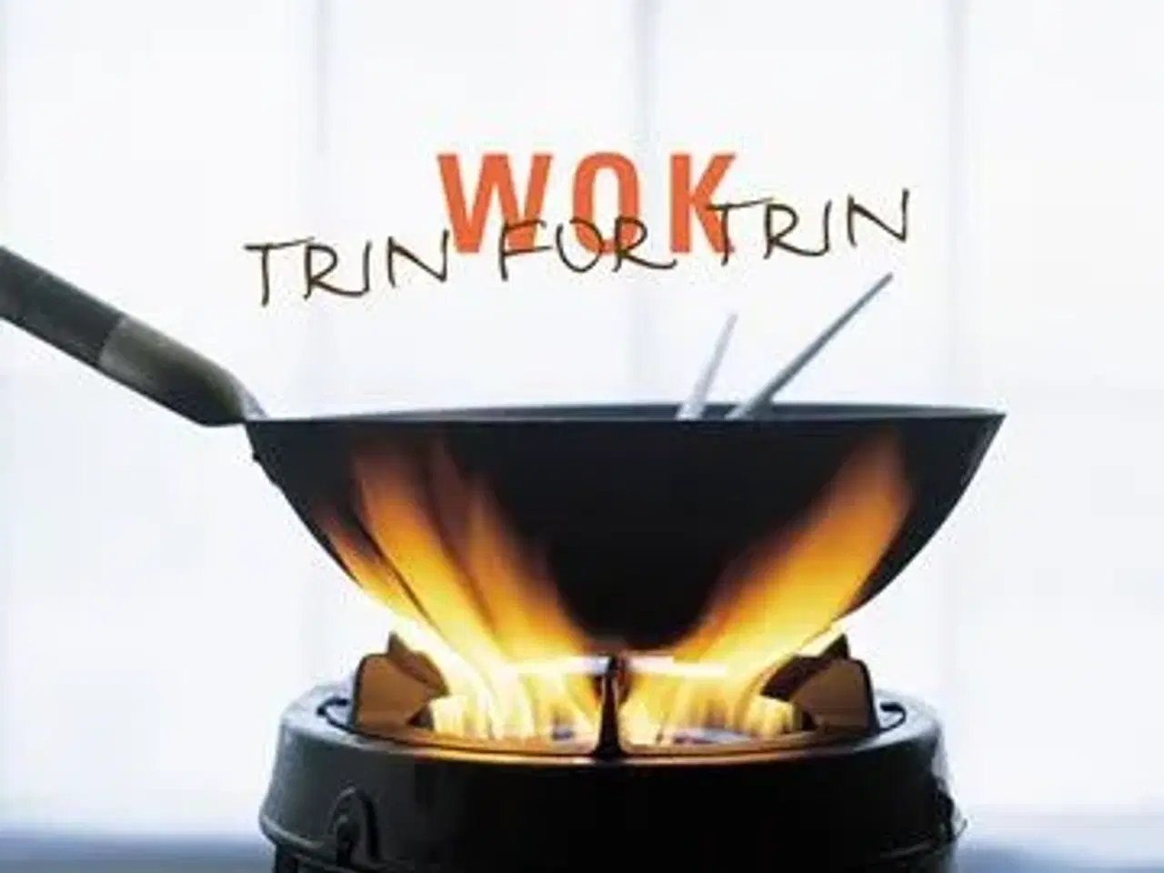 Billede 1 - Wok Trin for Trin - Hanne Holm