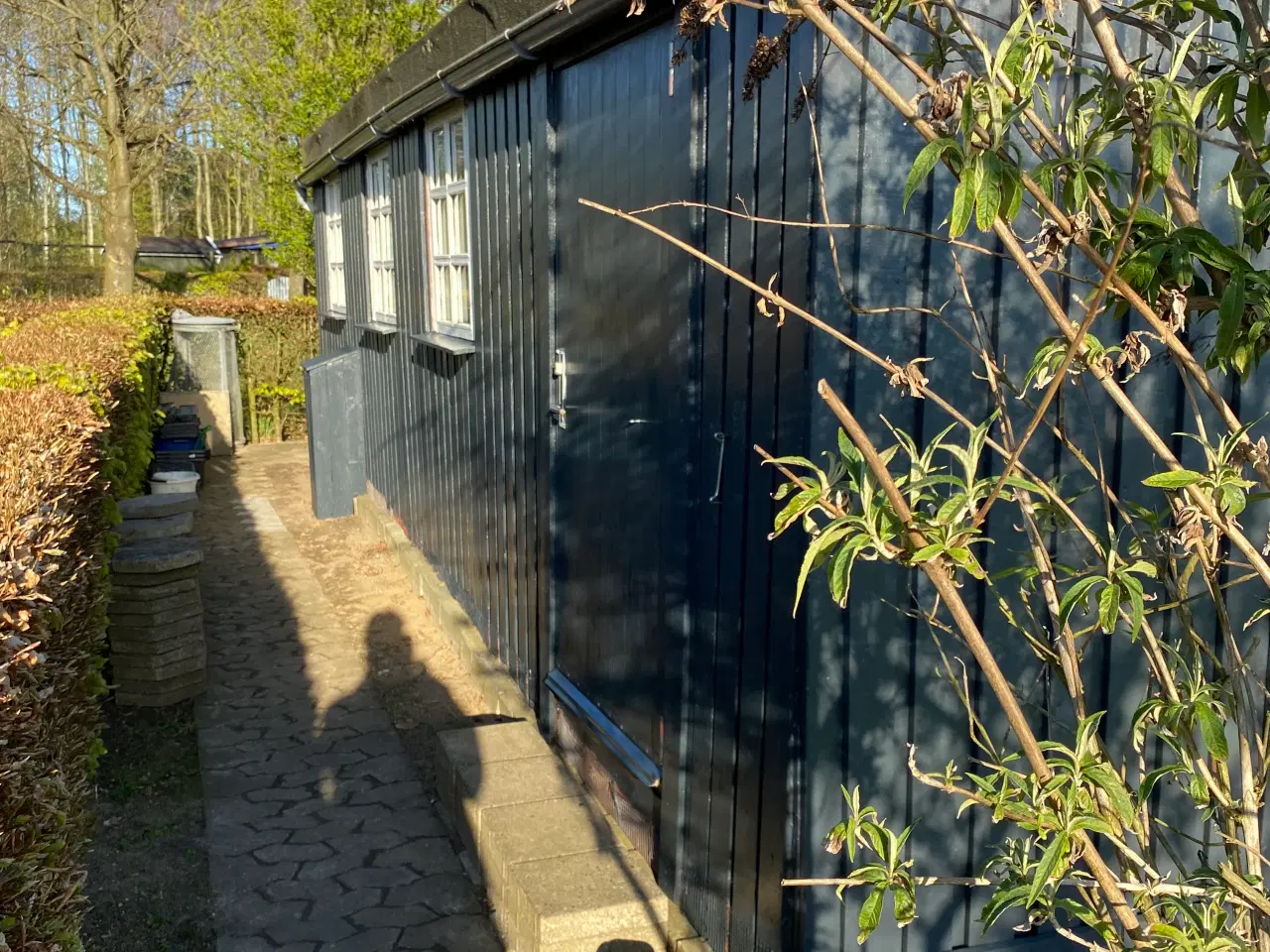Billede 3 - Dejlig kolonihave i Kolding , Ankerhus nr 21