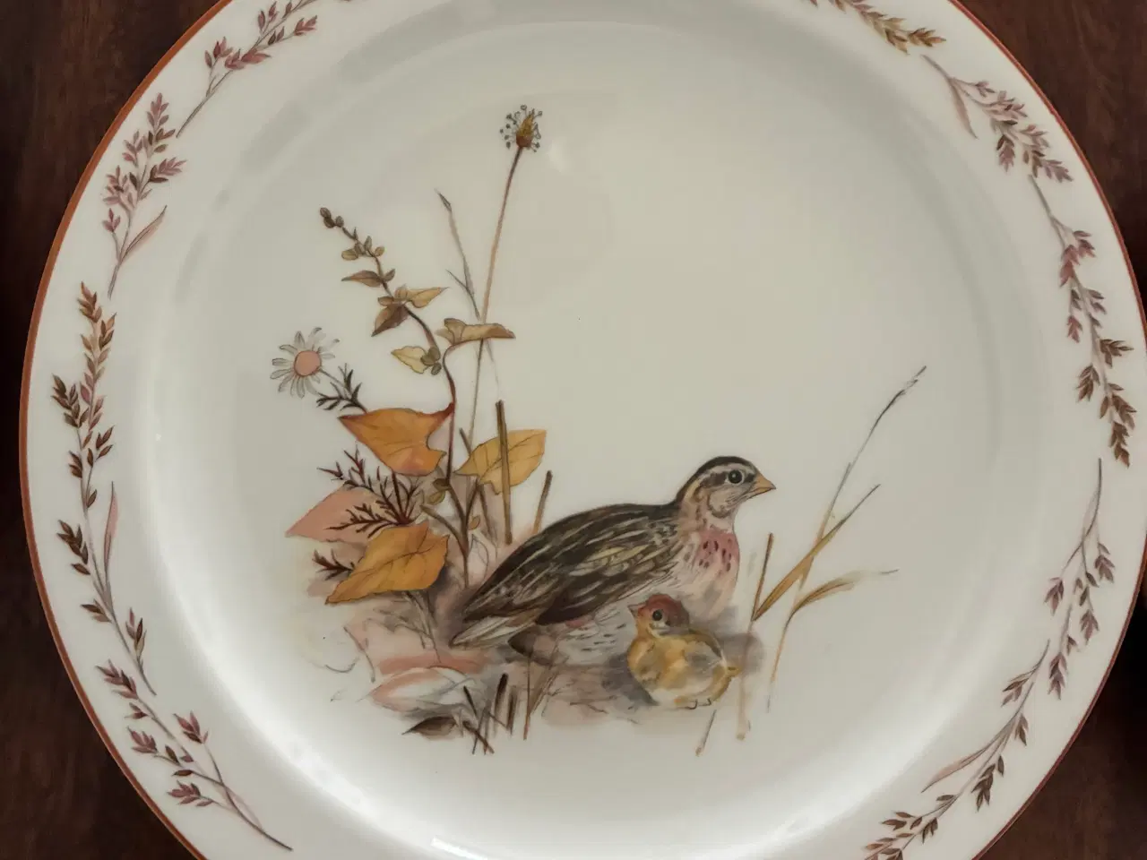 Billede 5 - Mads Stage tallerkener 24 cm