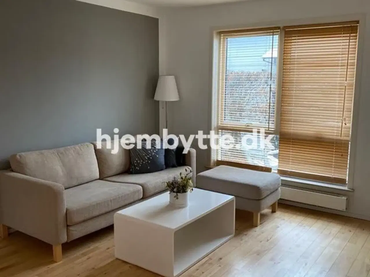 Billede 2 - Hjembytte - Solsikkemarken