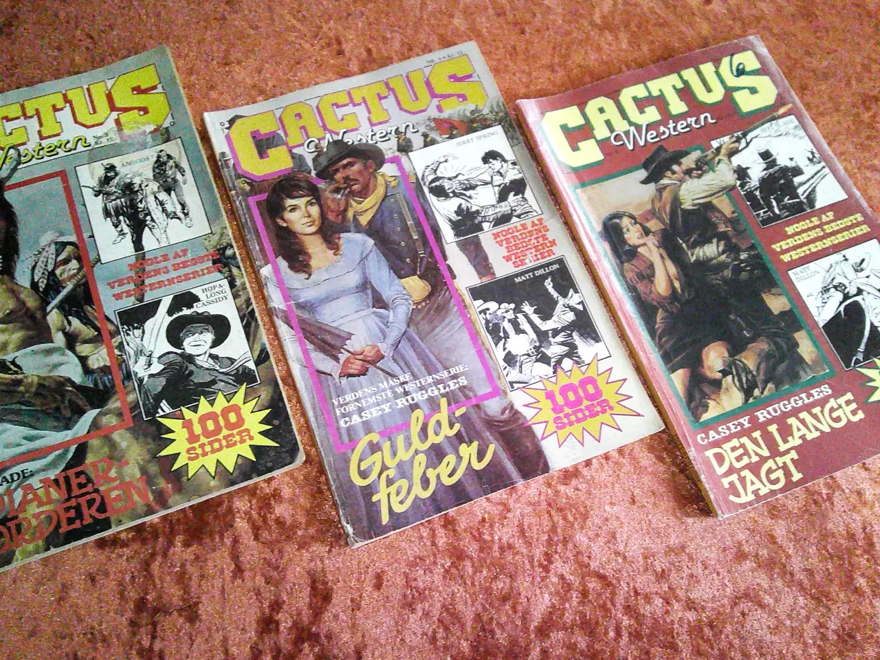 Billede 1 - Cactus Western
