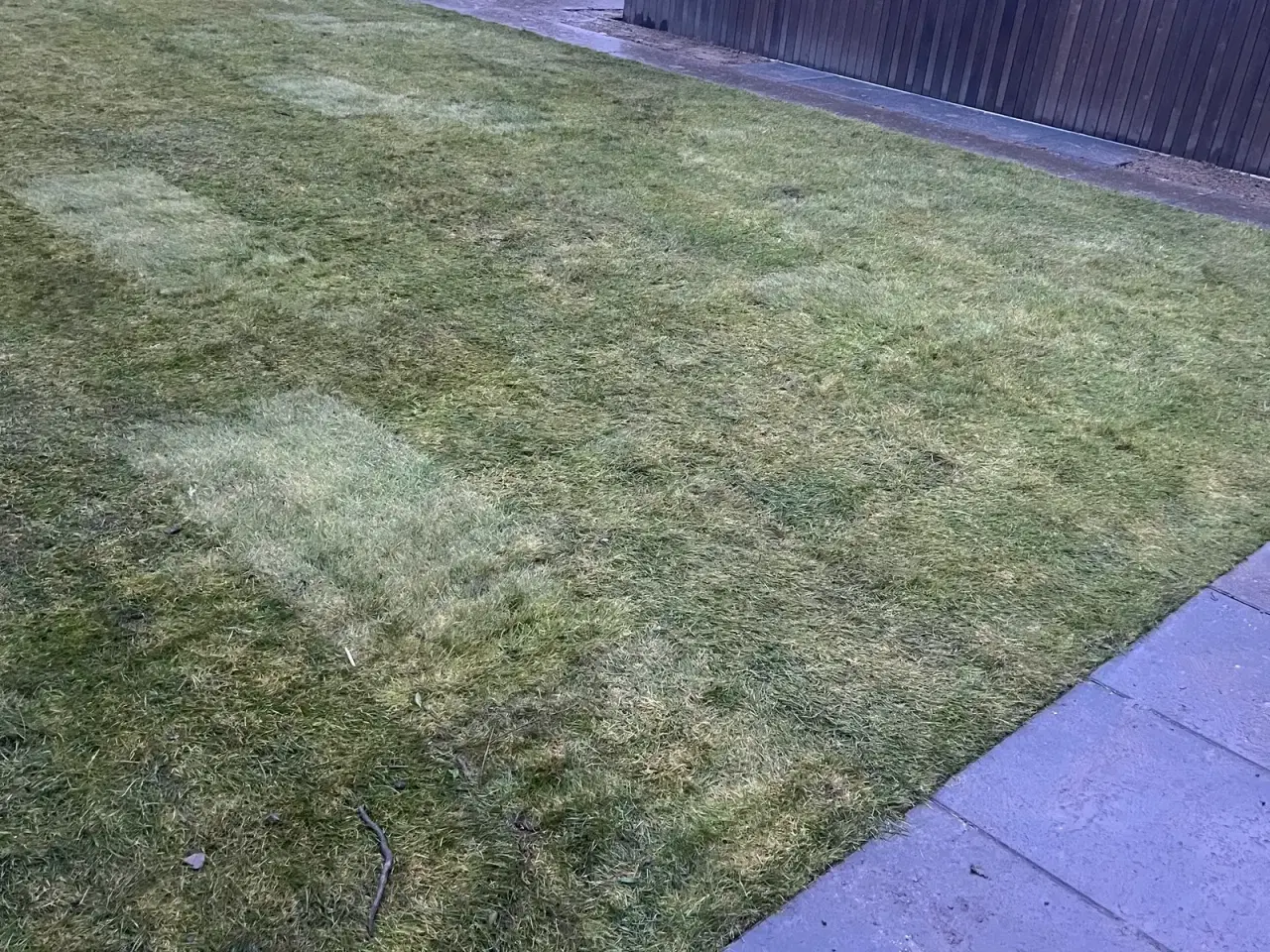 Billede 3 - Anlæg af have ved nybyg – én kontakt, fast pris