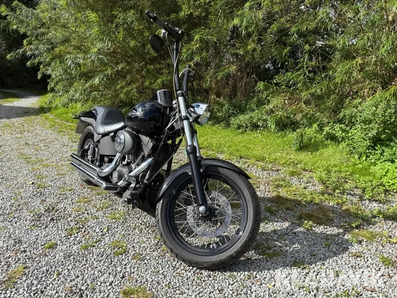 Billede 3 - Motorcykel Harley Davidson Night train