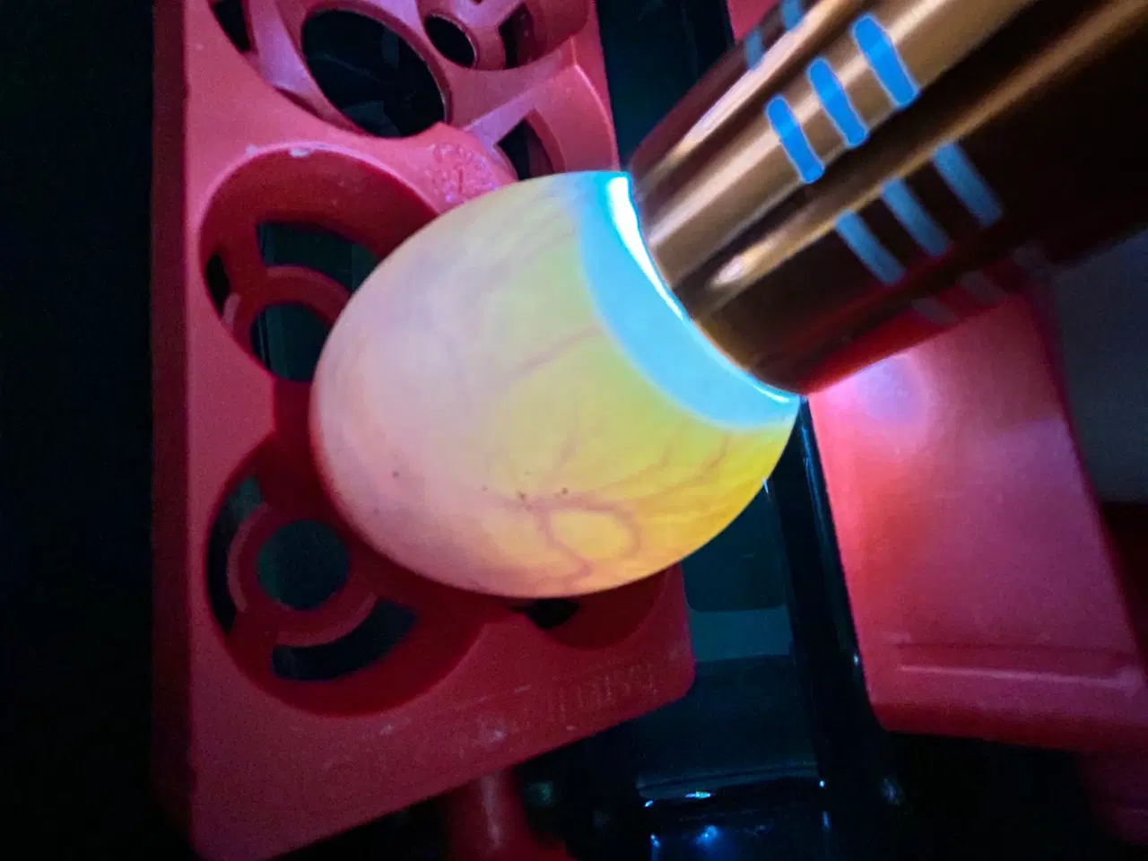 Billede 5 - Rugeæg fra løbeænder