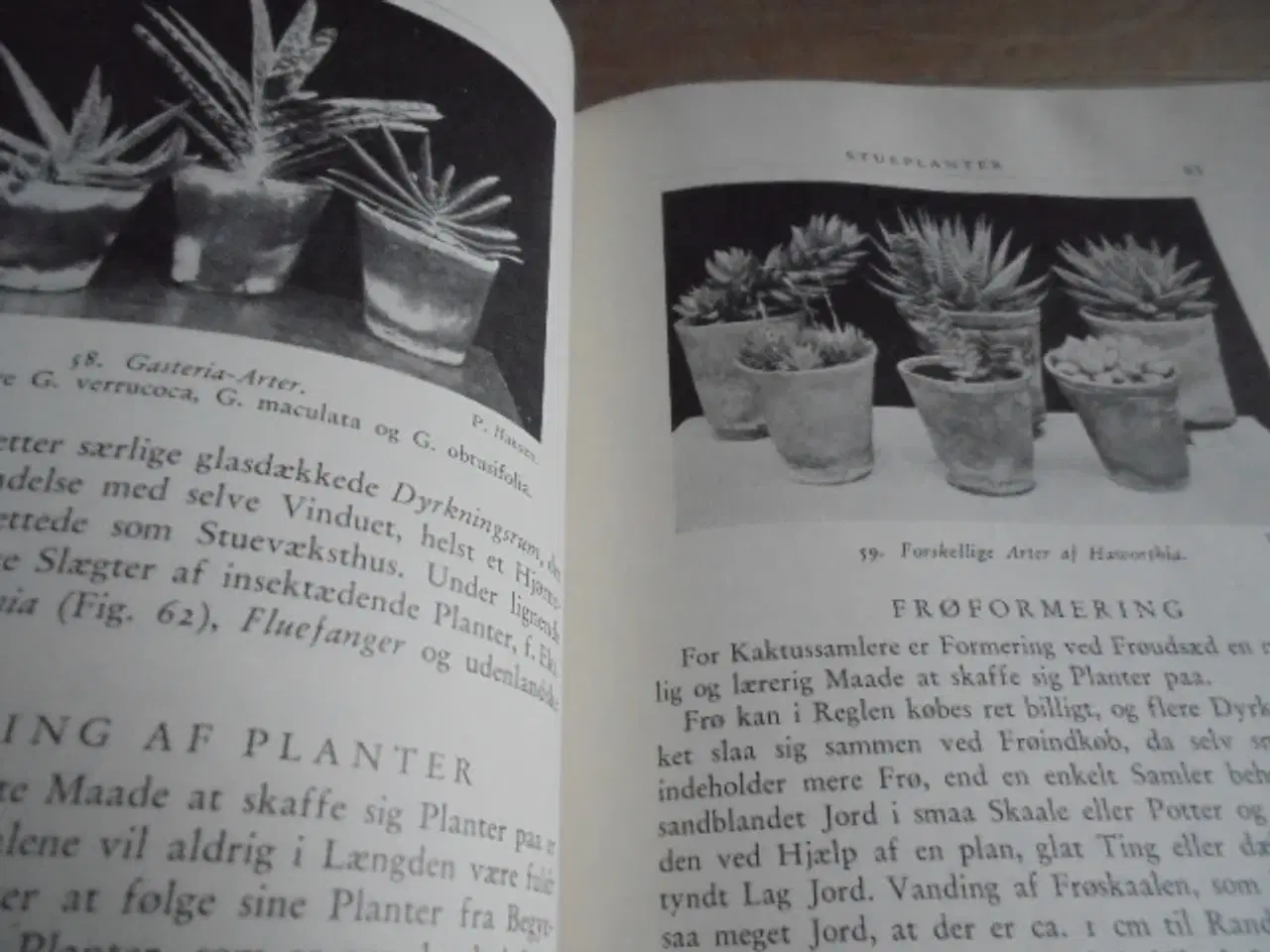 Billede 7 - Natursamleren – Hans Hvass – udg. fra 1942  