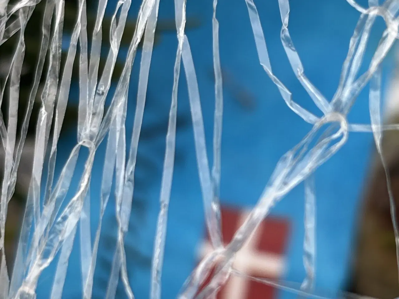 Billede 3 - Juletræ nordmannsgran