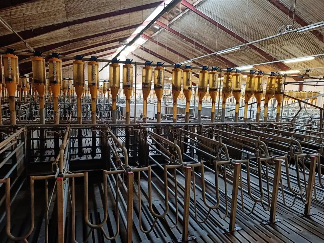 Billede 1 - - - - Egebjerg Æde / hvile boks ca. 400 stk.