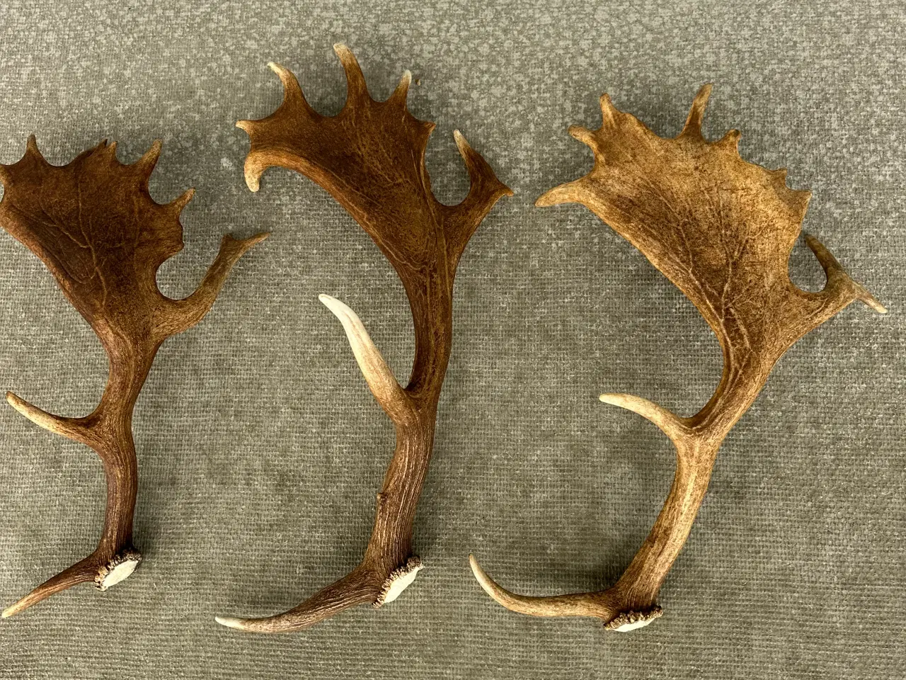 Billede 1 - 3 store flotte fuldskufler kastestænger sælges