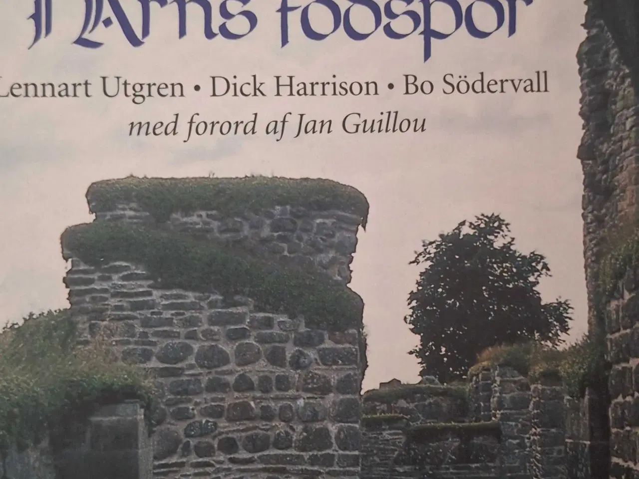 Billede 2 - I Arns fodspor 
