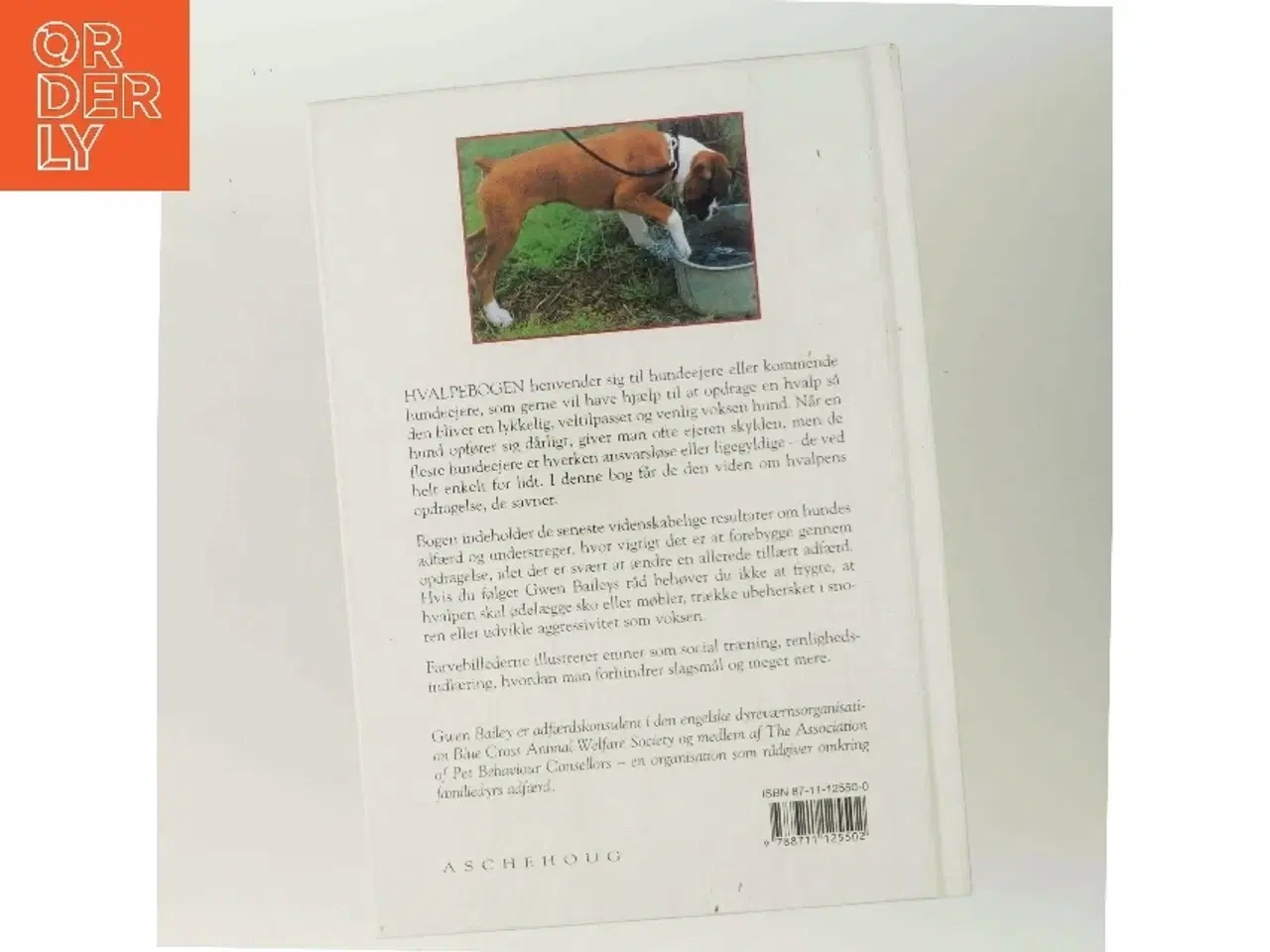 Billede 3 - Hvalpebogen : sådan får du en glad og velopdragen hund af Gwen Bailey (Bog)