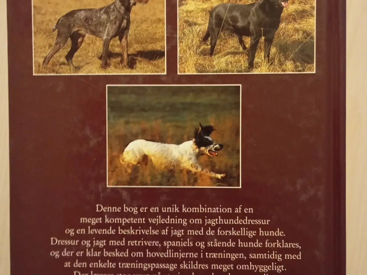 Billede 2 - Jagthunde Bog