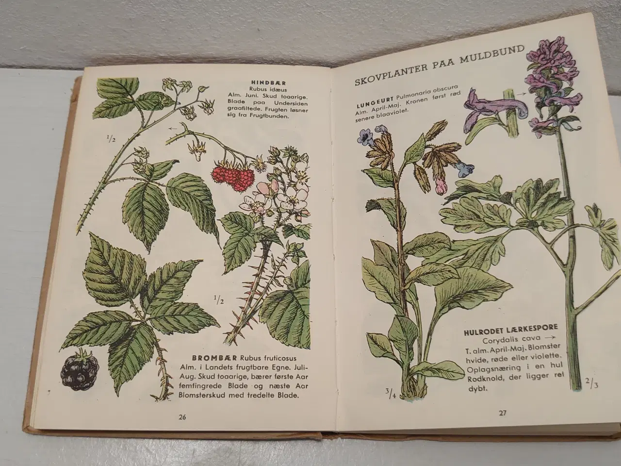 Billede 3 - M.Skytte Christiansen:Roms Atlas.ill.H.Anthon.1943
