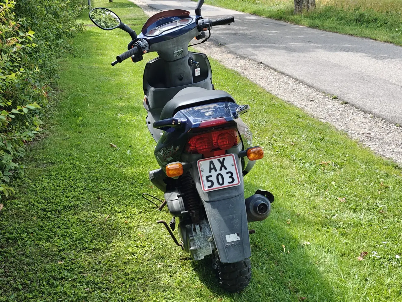 Billede 4 - PGO T-Rex 50 - Blå
