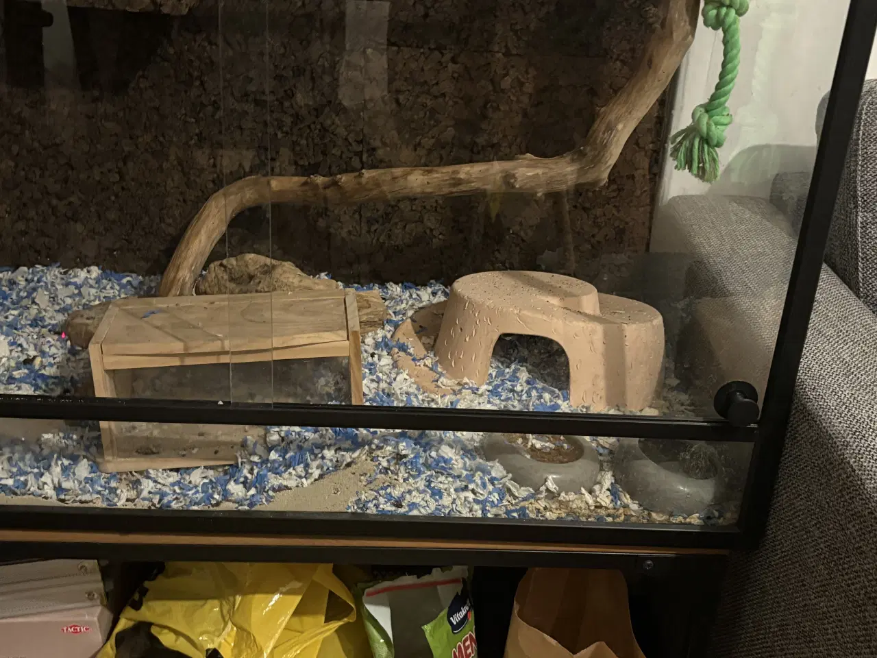 Billede 2 - Børstesvin med bur