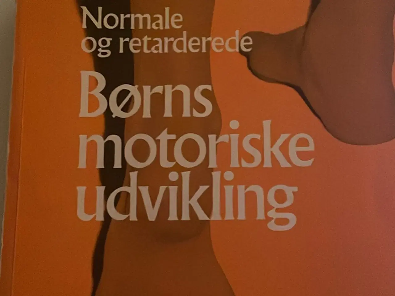 Billede 1 - Børns motoriske udvikling