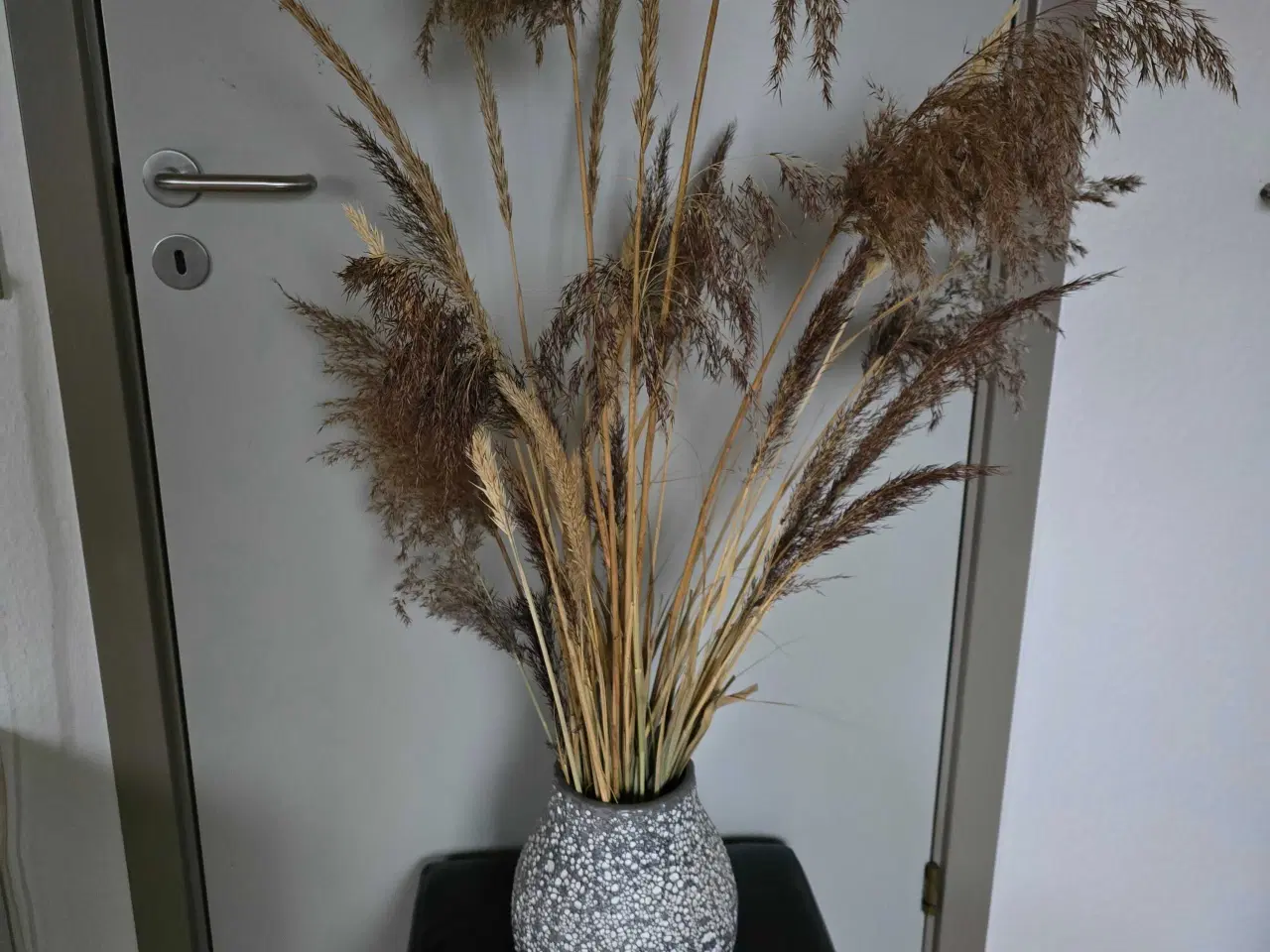 Billede 1 - Tørrede Blomster i vaser 