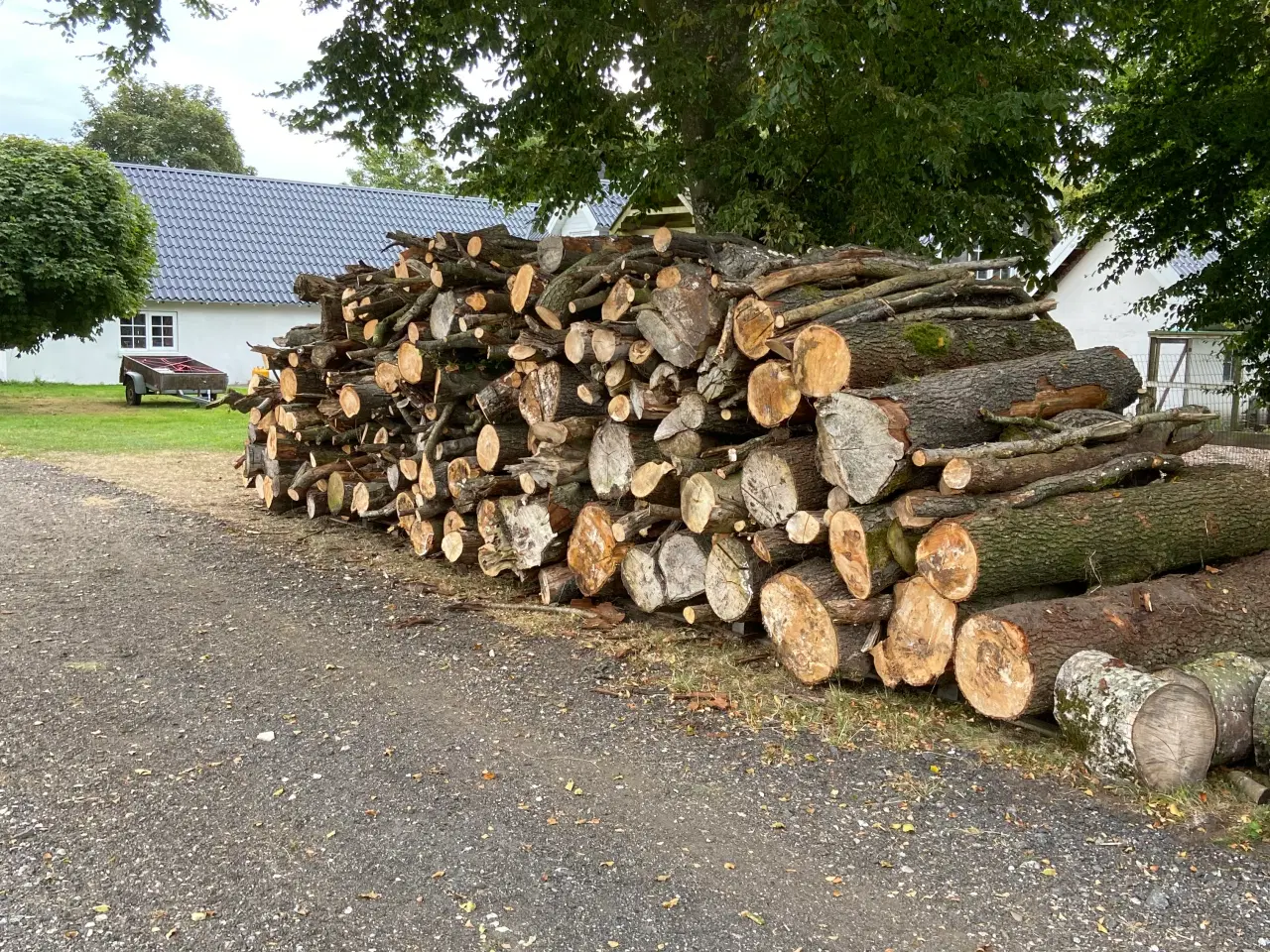 Billede 1 - Blandet løvtræ i 2 mtr stykker 