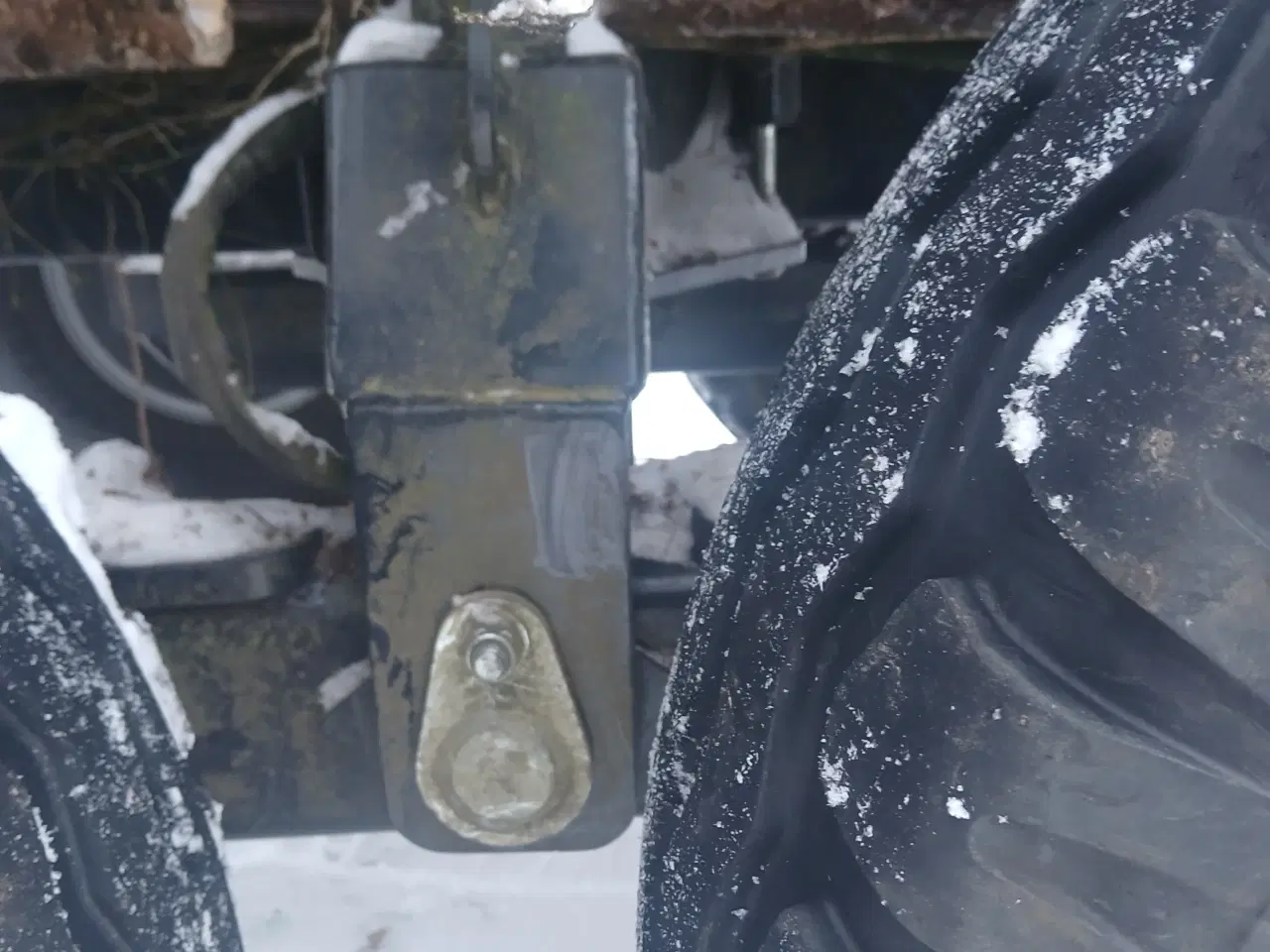 Billede 5 - Frisk fældede tynde stammer af birketræ