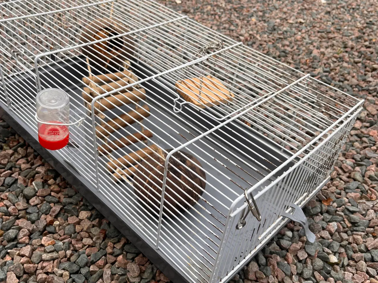 Billede 3 - Hamster bur med tilbehør