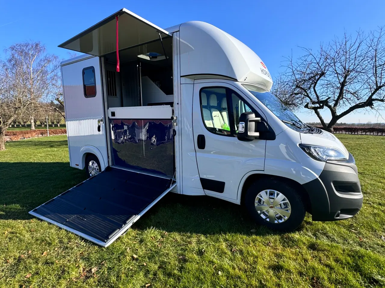 Billede 2 - NY Böckmann Compact Stall hestetransporter