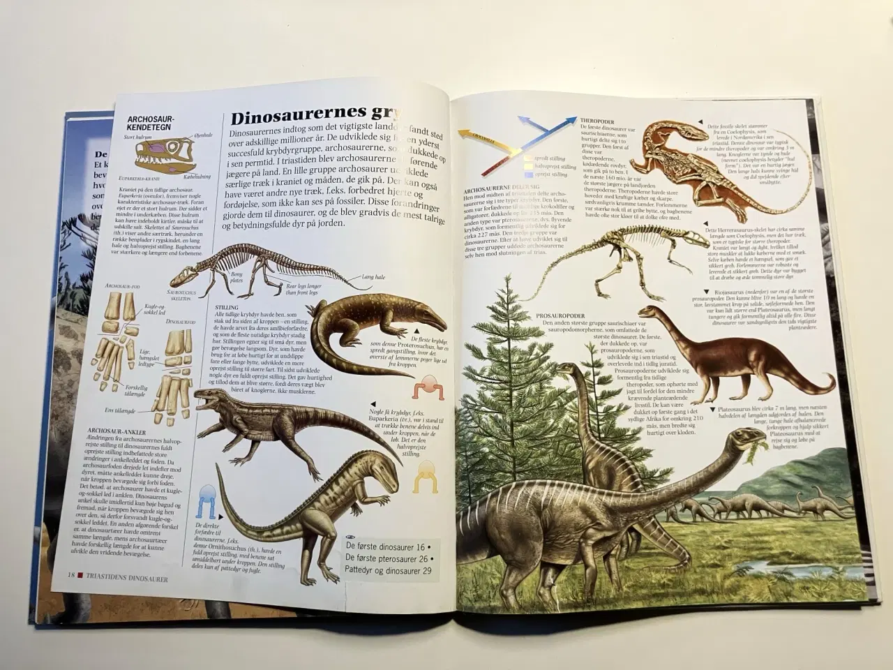 Billede 5 - Triastidens dinosaurer. Af Rupert Matthews