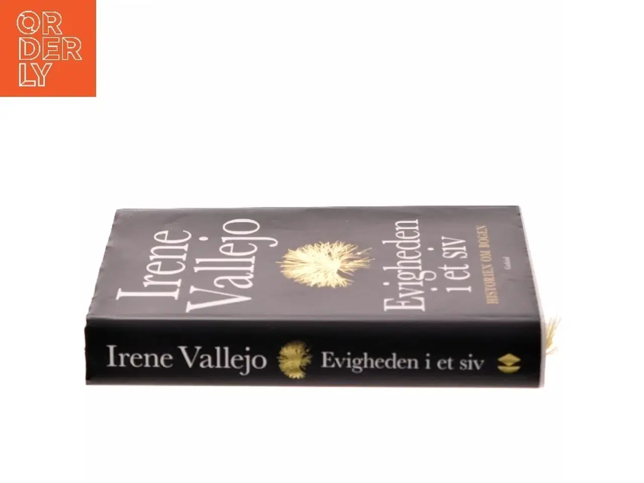 Billede 2 - Evigheden i et siv : historien om bogen af Irene Vallejo (f. 1979) (Bog)