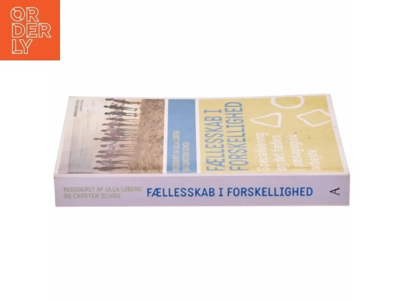 Billede 4 - Fællesskab i forskellighed : specialisering og det fælles i pædagogisk arbejde (Bog)