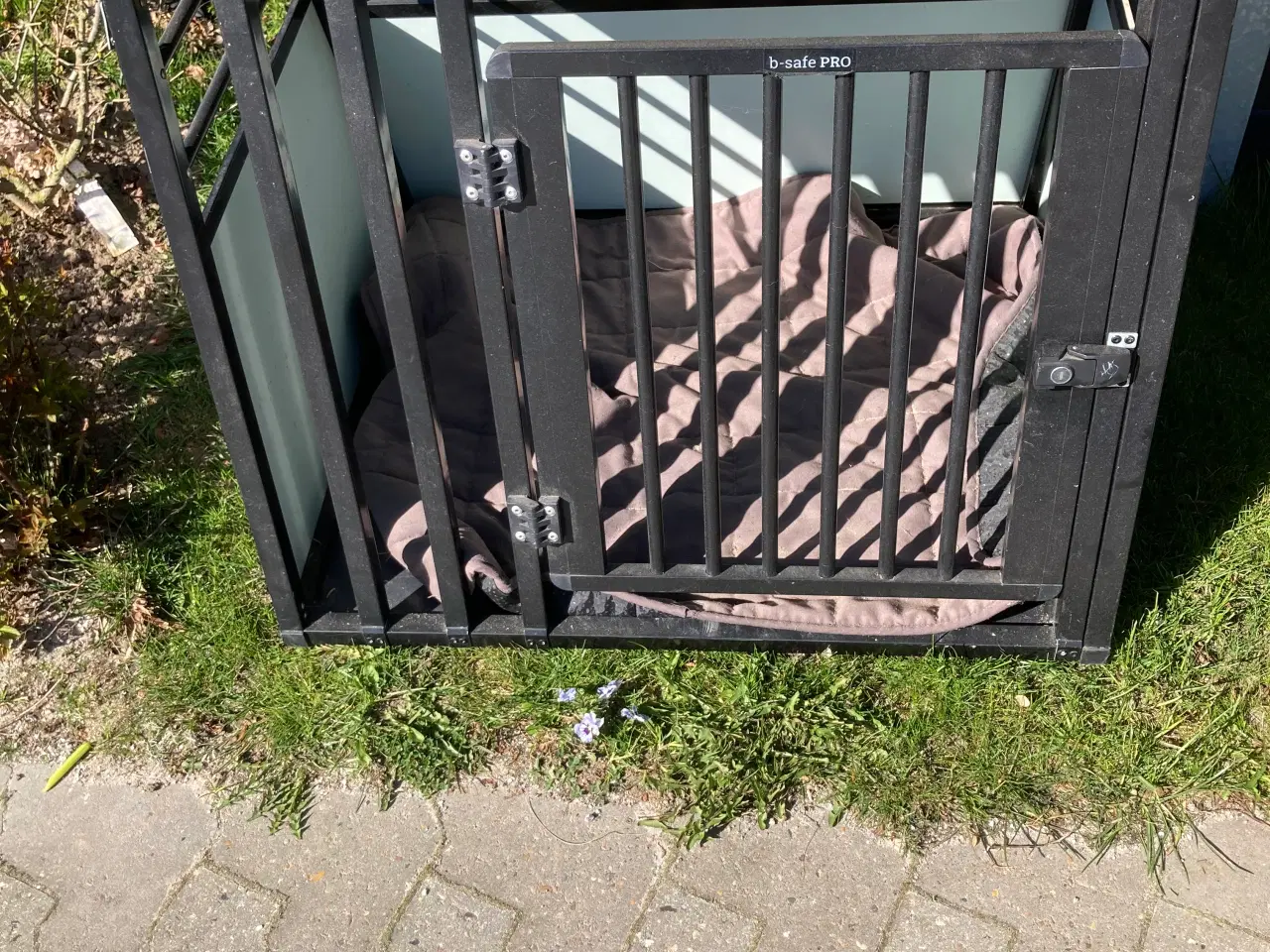 Billede 2 - Hundebur til bil 