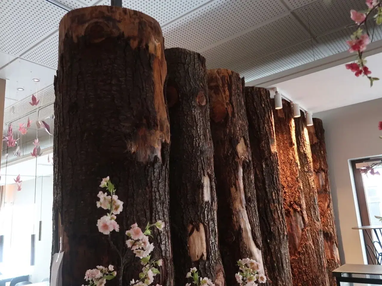 Billede 1 - Stammevæg