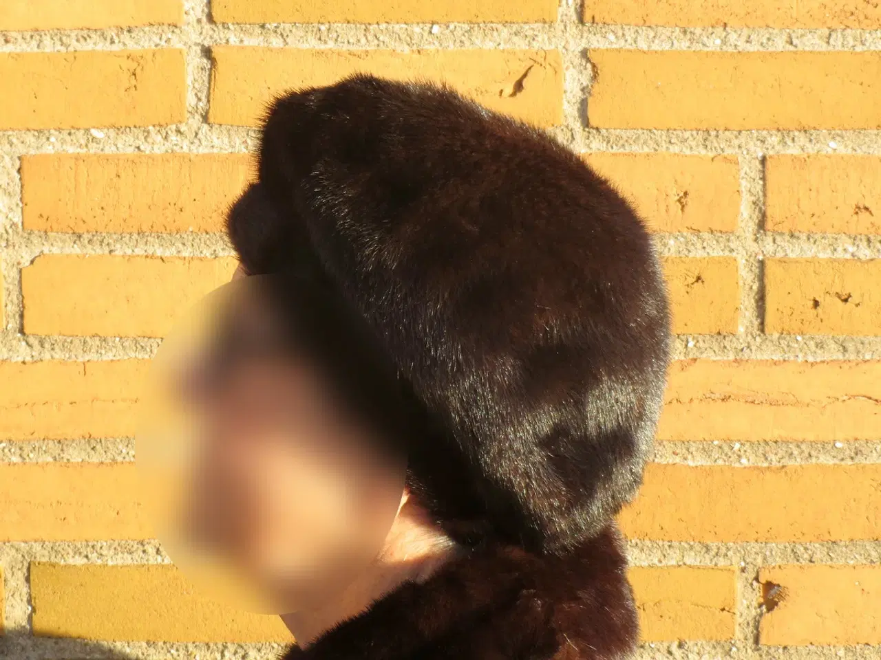 Billede 7 - Kort minkfrakke