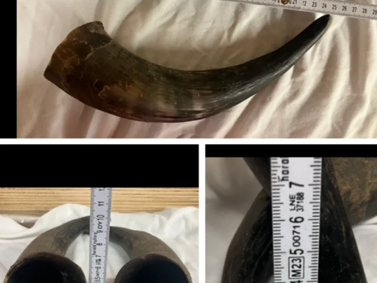 Billede 6 - Fine horn / kohorn 