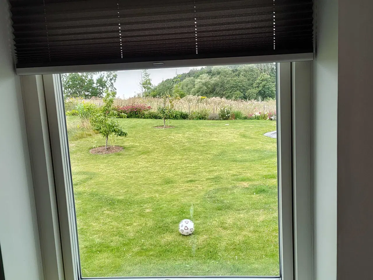 Billede 2 - 2 stk up/down plissegardin. 103*125 cm