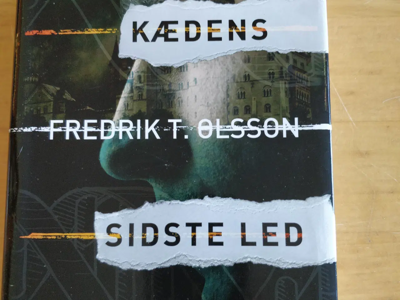 Billede 1 - Kædens sidste led