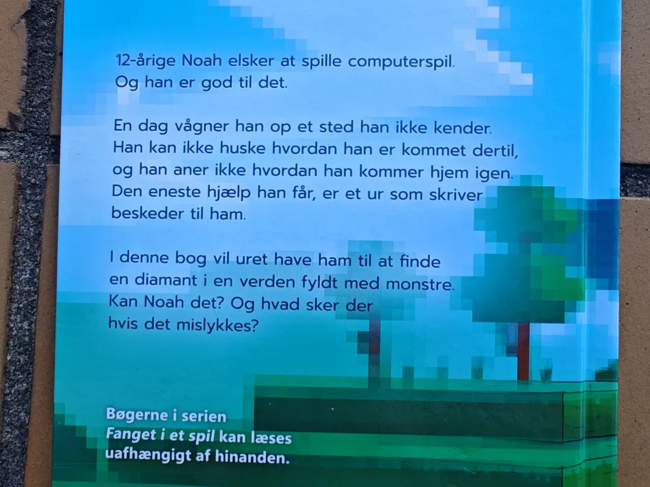 Billede 2 - Minecraft : Fanget i et Spil Diamanten BOG