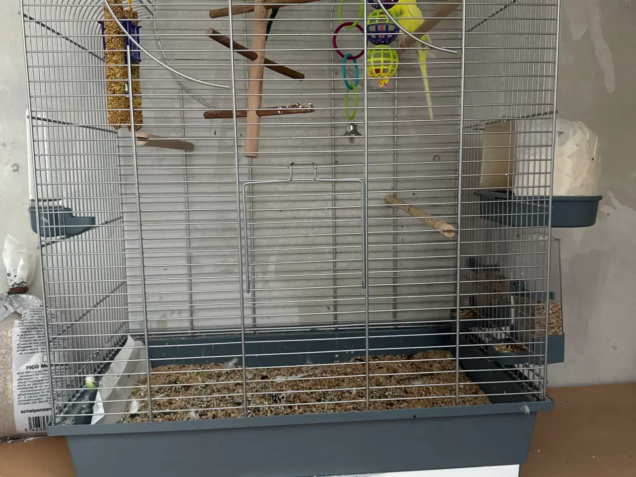 Billede 1 - Undulater med tilbehør