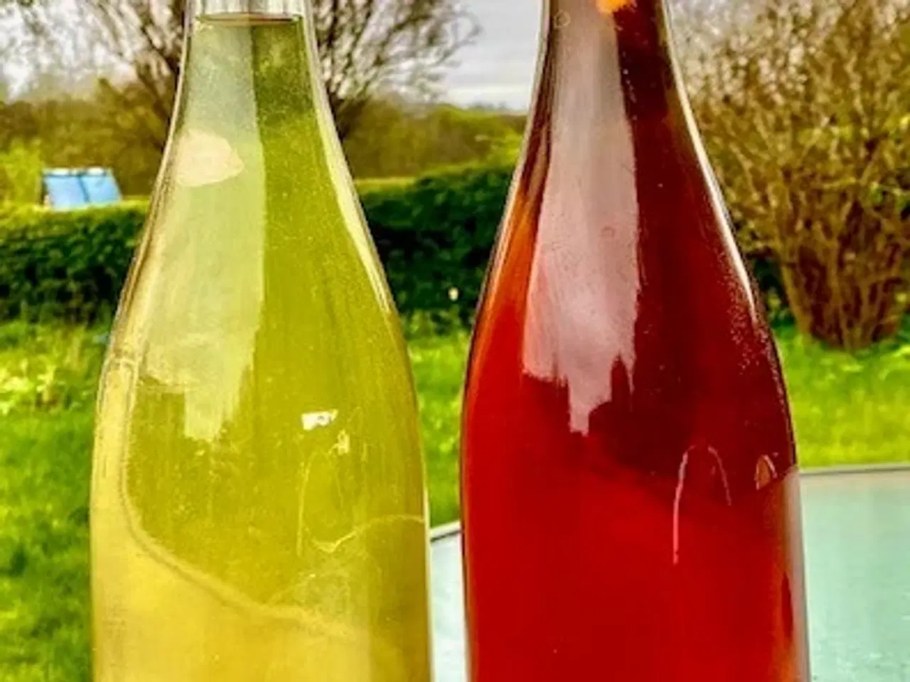Billede 12 - Brygge udstyr til cider og vin