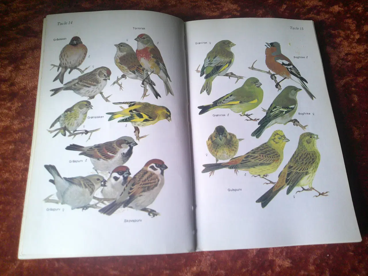 Billede 2 - Fuglene omkring os, Arne Broman, Eric Palmquist