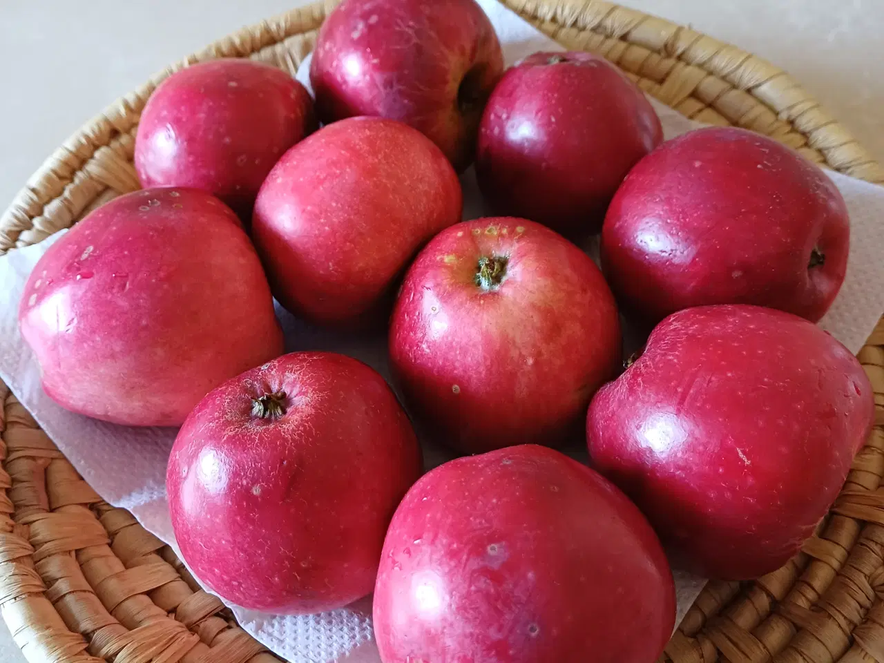 Billede 4 - Æbler: Discovery, Guldborg og Ananas - økologísk