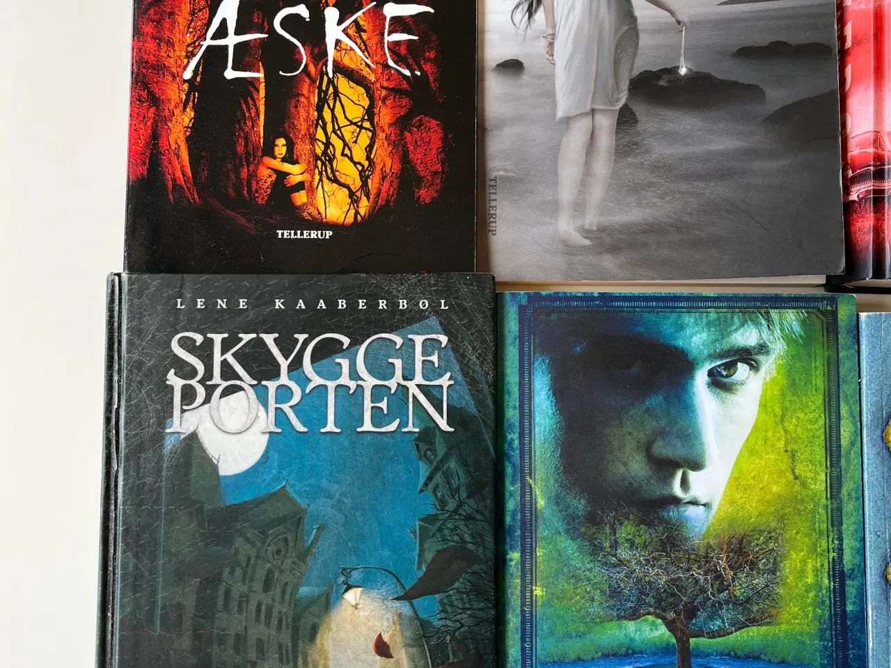Billede 1 - Ungdoms bøger 