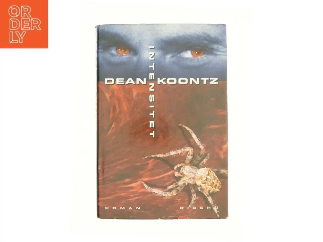 Billede 1 - Intensitet af Dean R. Koontz (Bog)