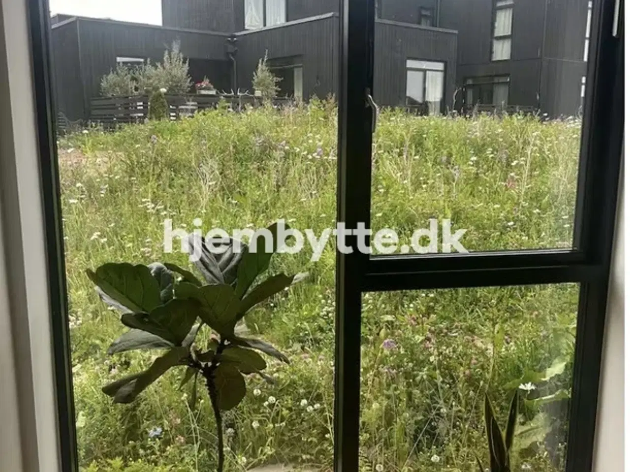 Billede 2 - Hjembytte - Lergravsvej