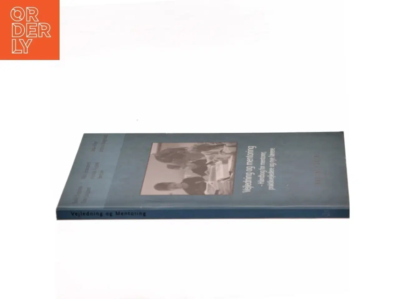 Billede 2 - Vejledning og mentoring : håndbog for mentorer, praktikvejledere og nye lærere af Bodil Christensen (f. 1957-10-08) (Bog)